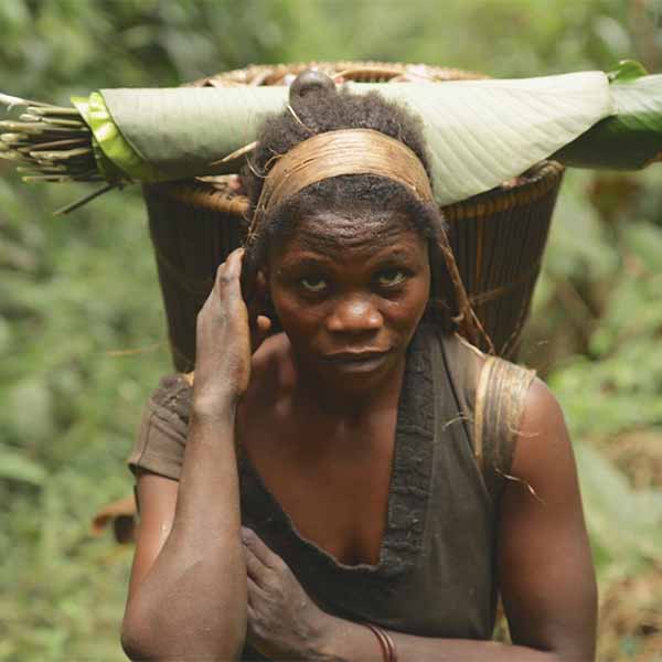 BLOG: DRC Senate adopts new law on the promotion and protection of the rights of the Indigenous pygmy peoples